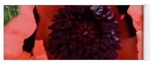 EarthWise Designs Poppy I - Yoga Mat